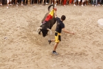 toro de la tarde 11-9