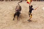 toro de la tarde 11-9
