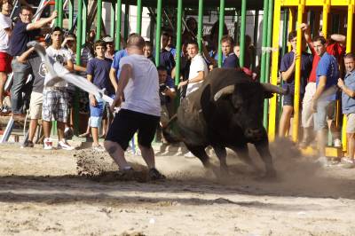 Fotografia /Gallery/35767_19718/2_M1.jpg