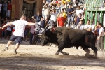 toro de la tarde 11-9
