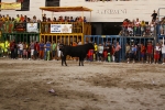 toro de la tarde 11-9