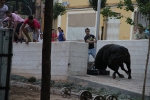 Los del barrio La Mercé no dejan de dar sustos
