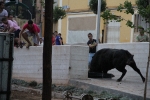 Los del barrio La Mercé no dejan de dar sustos