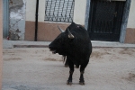 Los del barrio La Mercé no dejan de dar sustos