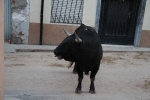 Los del barrio La Mercé no dejan de dar sustos