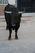 Los del barrio La Mercé no dejan de dar sustos