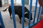 Los del barrio La Mercé no dejan de dar sustos