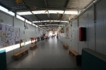 Fallas Colegios Iturbi, Nº5 y Nº6