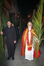 Procesion De Palmas