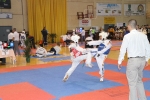 El Open Nacional de Taekwondo de l\'Alcora batió todos los records