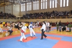 El Open Nacional de Taekwondo de l\'Alcora batió todos los records