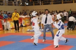 El Open Nacional de Taekwondo de l\'Alcora batió todos los records