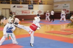 El Open Nacional de Taekwondo de l\'Alcora batió todos los records
