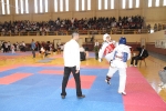 El Open Nacional de Taekwondo de l\'Alcora batió todos los records