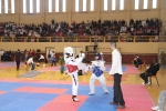 El Open Nacional de Taekwondo de l\'Alcora batió todos los records