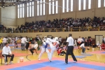 El Open Nacional de Taekwondo de l\'Alcora batió todos los records