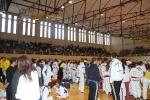 Fotografia /Gallery/38237_21037/5_M1.jpg