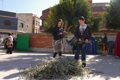 Fotografia /Gallery/3829_2193/2_M1.jpg