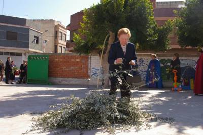 Fotografia /Gallery/3829_2193/5_M1.jpg