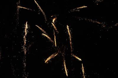 Fotografia /Gallery/3834_2198/3_M1.jpg