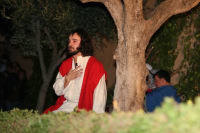 Fotografia /Gallery/3948_2311/5_M1.jpg