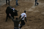 Los toros de Sant Vicent dejan un herido por asta de toro.