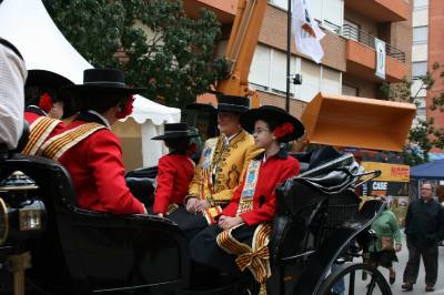 Fotografia /Gallery/4165_2445/4_M1.jpg