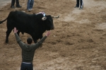 Los toros de Sant Vicent dejan un herido por asta de toro.