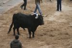 Los toros de Sant Vicent dejan un herido por asta de toro.