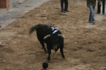 Los toros de Sant Vicent dejan un herido por asta de toro.