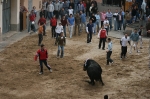 Los toros de Sant Vicent dejan un herido por asta de toro.