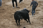 Los toros de Sant Vicent dejan un herido por asta de toro.