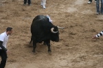 Los toros de Sant Vicent dejan un herido por asta de toro.
