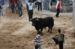 Los toros de Sant Vicent dejan un herido por asta de toro.