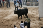 Los toros de Sant Vicent dejan un herido por asta de toro.