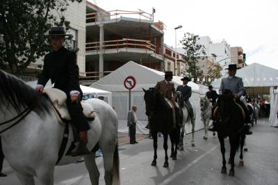 Fotografia /Gallery/4165_2445/6_M1.jpg