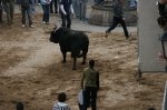 Los toros de Sant Vicent dejan un herido por asta de toro.
