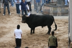 Los toros de Sant Vicent dejan un herido por asta de toro.