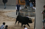 Los toros de Sant Vicent dejan un herido por asta de toro.