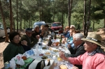 Romeria de San Vicente