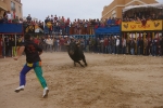 Xilxes toros domingo