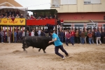 Xilxes toros domingo