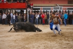Xilxes toros domingo