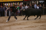 Xilxes toros domingo