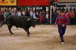 Xilxes toros domingo