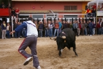 Xilxes toros domingo