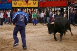 Xilxes toros domingo