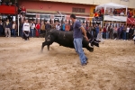 Xilxes toros domingo
