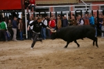 Xilxes toros domingo