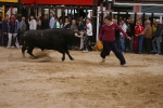 Xilxes toros domingo